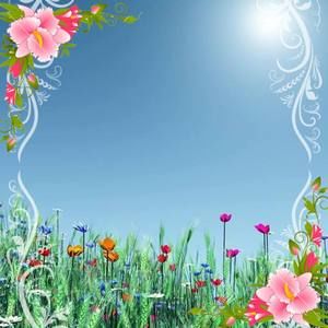 Meet your Posher, Akhi